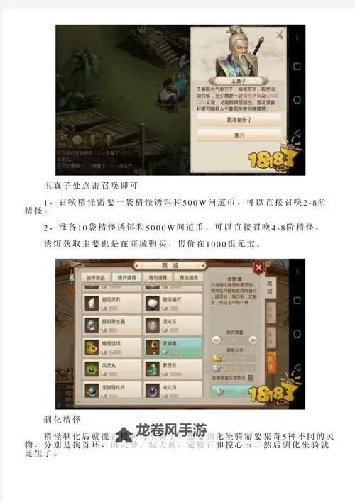 问道坐骑最高等级攻略与提升技巧图2