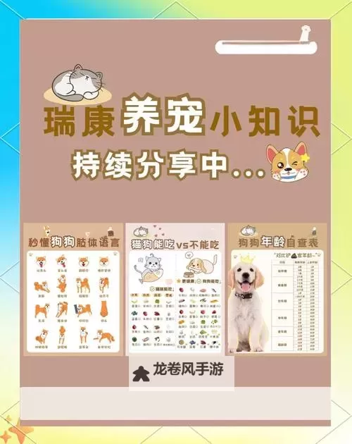 卡鲁耶克怎么养：打造健康成长的最佳养护方法图1