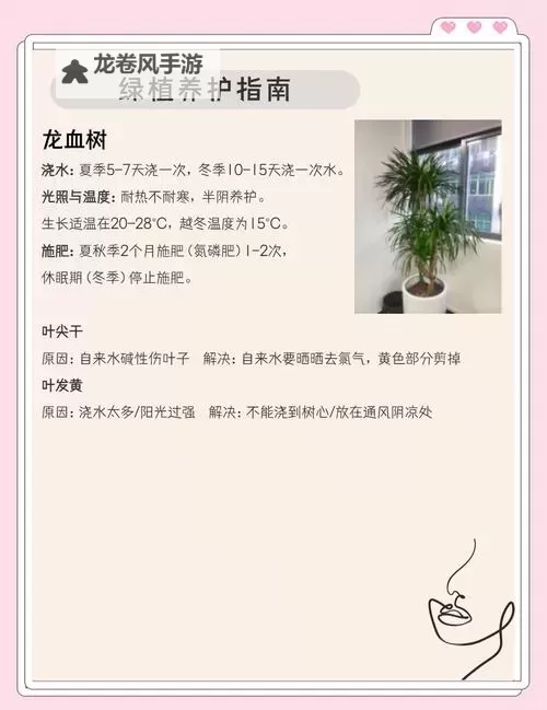 卡鲁耶克怎么养：打造健康成长的最佳养护方法图2