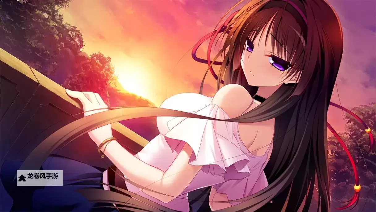 《御宅伴侣存档:虚拟世界中的理想伙伴》图1