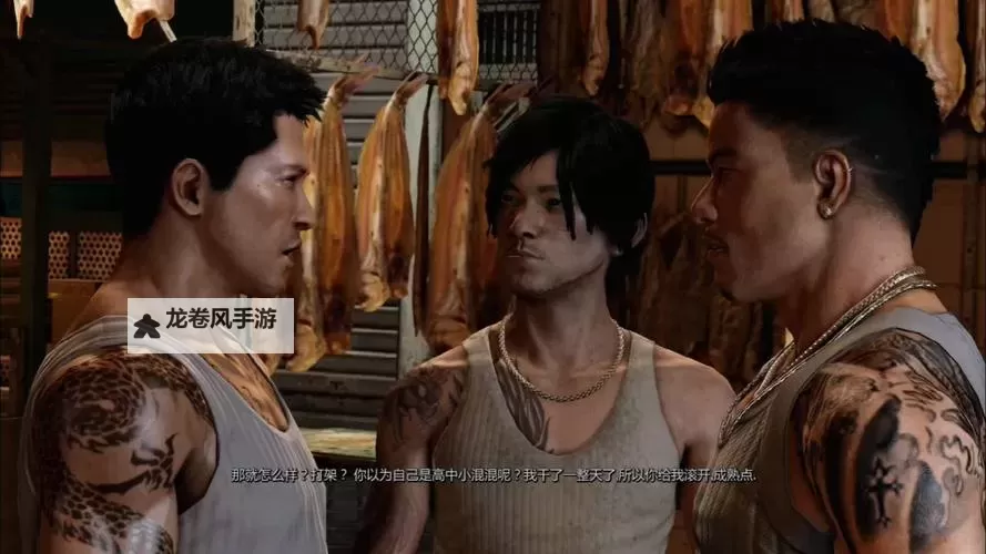 热血无赖没有字幕怎么办:解决方法与技巧分享图2