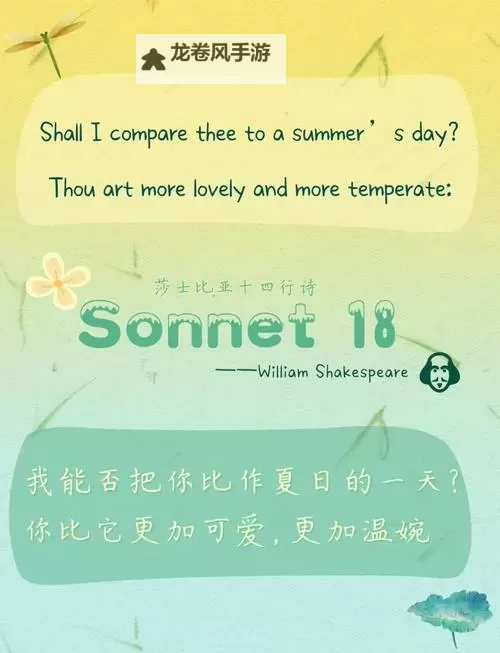 醉美的夏天:一段绚烂时光的诗意邂逅图1