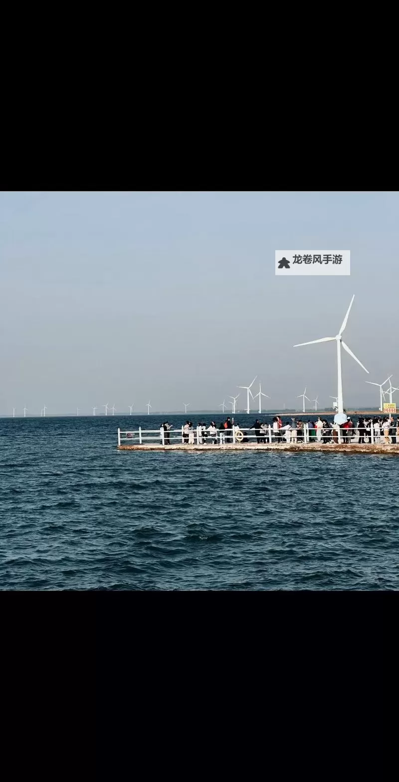 森日向子中文无码在线:探索她的魅力与作品精彩呈现图2