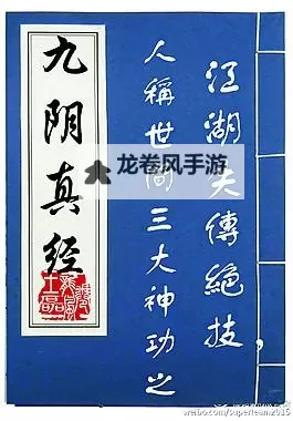九阴真经与丐帮生活：传统职业的传承与发展图1