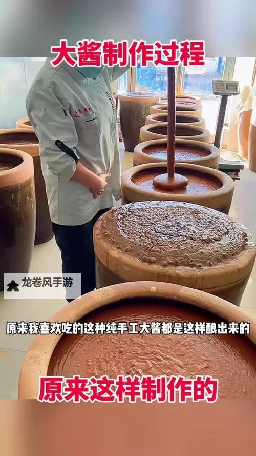 男女酱酱酿酿下视频：趣味酱料制作全记录图1