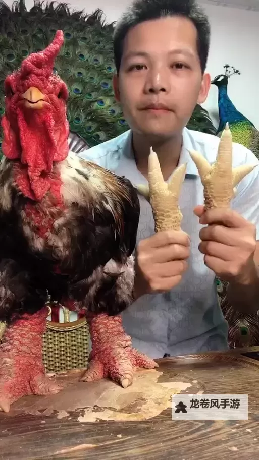 4000块的超级神鸡性价比高吗：值得入手吗？图1