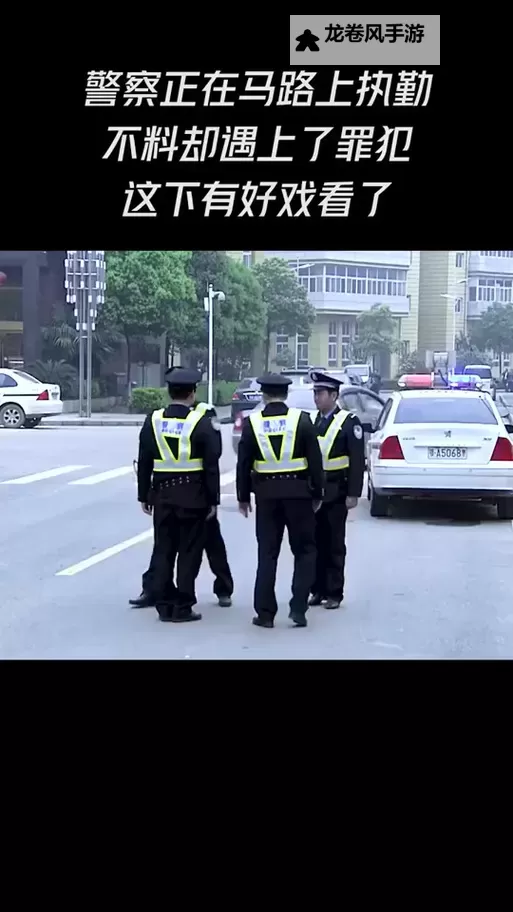 张警官的视频在线观看：精彩内容全收录图1