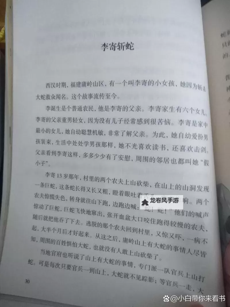 真爱赌注国语:为爱勇敢一搏的感人故事图1