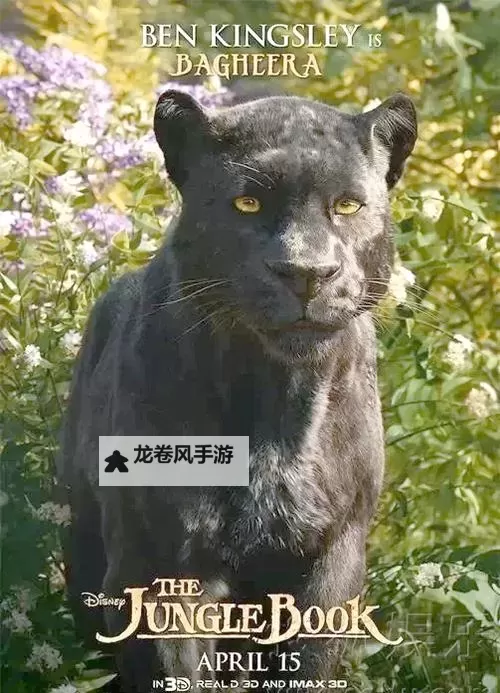 奇幻森林探险：又大又黑又长的蘑菇头秘密揭秘图1