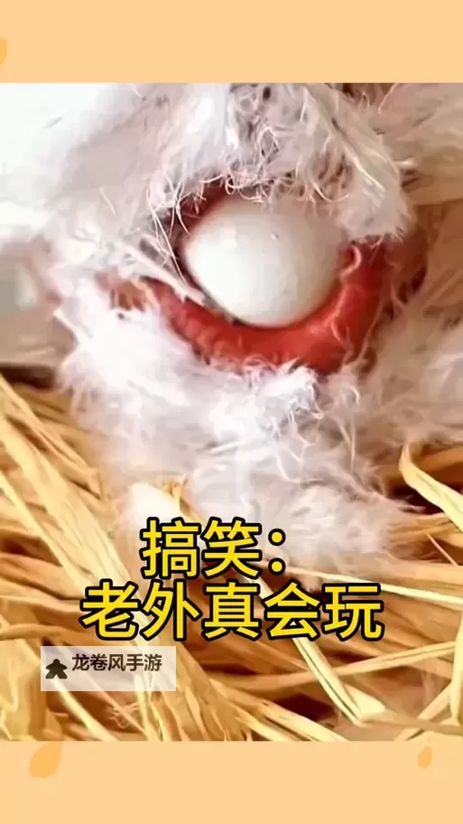 用嘴巴吃鸡8的视频：趣味挑战大揭秘图1