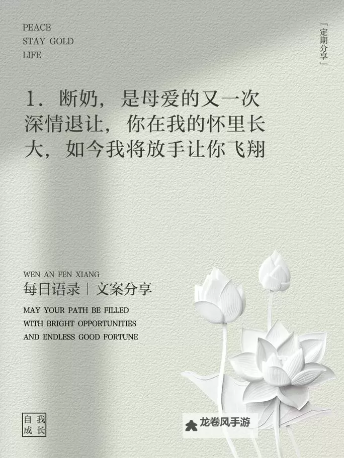 糖心Vlog免费分享:温馨妈妈故事感动你的心图1