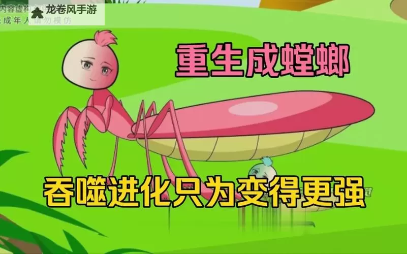 螳螂一般进化哪三个技能：它们的生存之道与未来发展图1