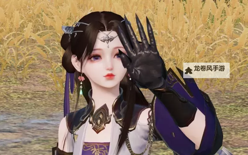 天涯明月刀手游鉴定古玩指南：珍品鉴定与收藏技巧图2