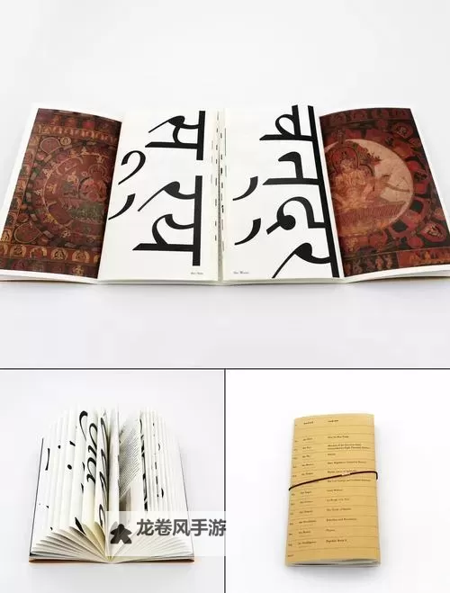 探索天天色香：品味生活的双重艺术图1