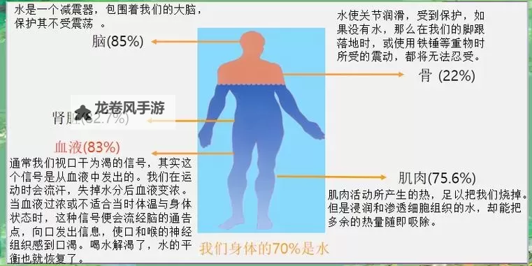 水的吸收以自由扩散为主:机制与影响分析图1