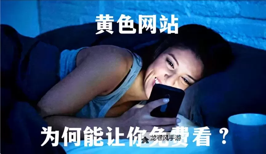 关于“黄色软件www”的详细介绍与注意事项图2