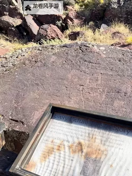 探秘精品国无人区:打造一品二品三品的极致体验图1