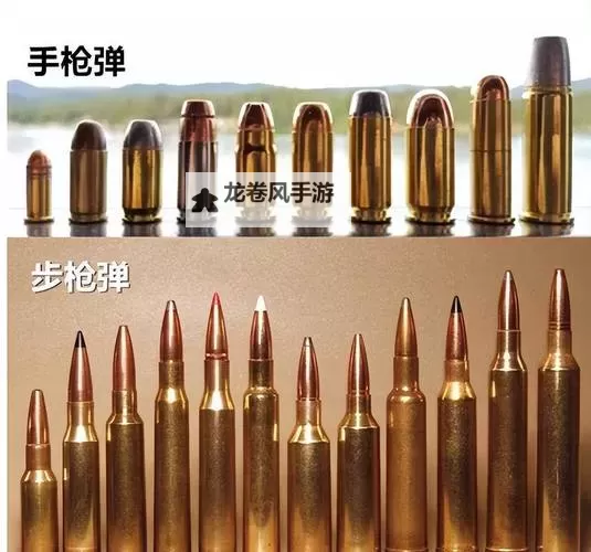 揭秘生化危机4中骗商人子弹的技巧与方法图1