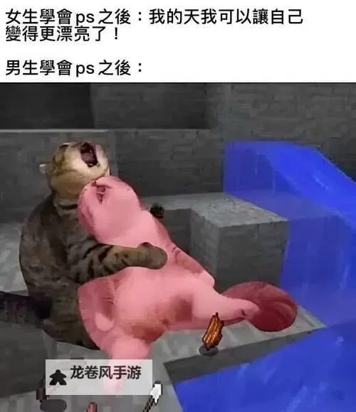 探索趣味无限:加入最热的meme图吧!图1