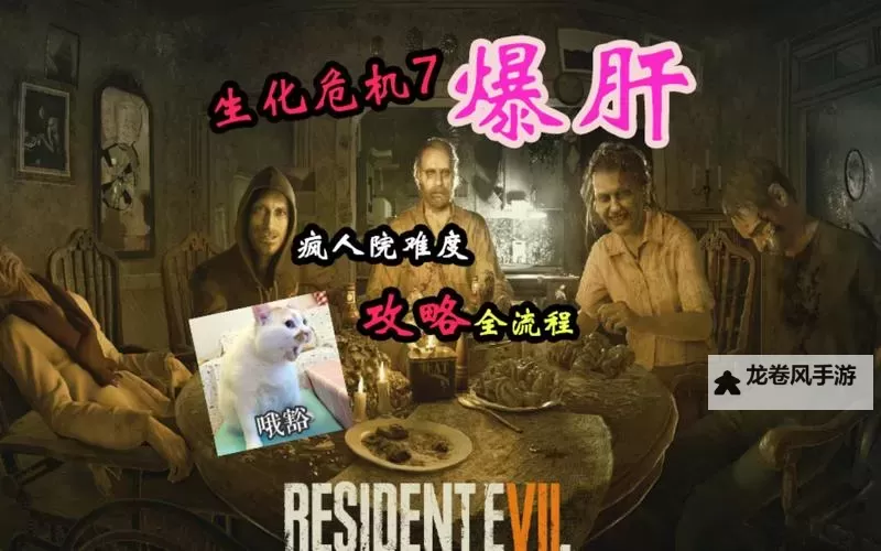 生化危机7开始游戏就卡住了解决方法详解图2