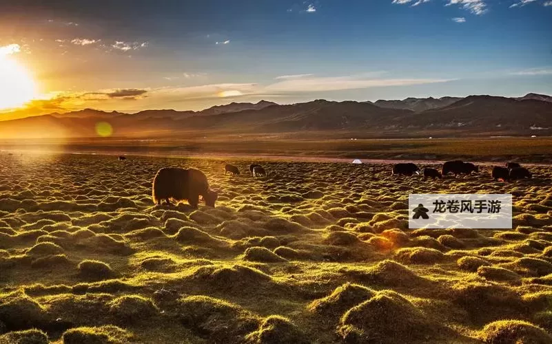 穿越迷雾：探寻真实的幻影与心灵的映照图1