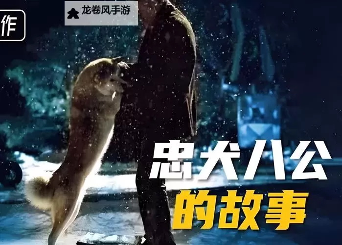 感人至深的忠犬八公国语版:一段永恒的忠诚与守候图1