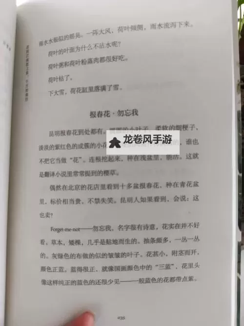 《招魂小说山栀子:幽冥之夜的花语谜影》图1