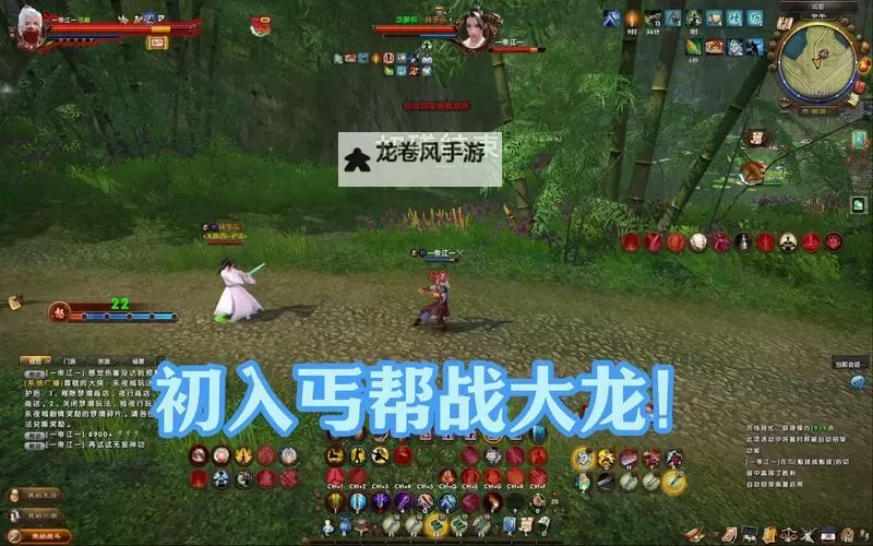 九阴真经丐帮2内特效揭秘:技能效果全面解析图1