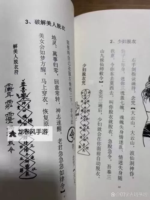 九阴真经金针沈家野草:神秘秘籍的传承与江湖传说图1