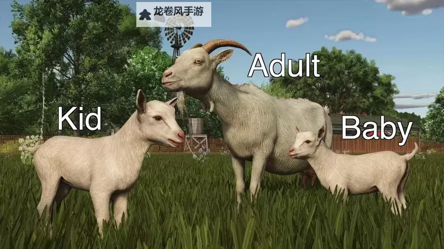 探索最新美国ZOOM动物_农场:数字时代的现代农场新体验图1