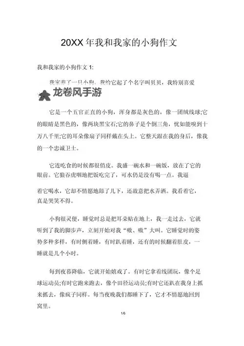 昨晚我和我家狗做了一次难忘的冒险图2