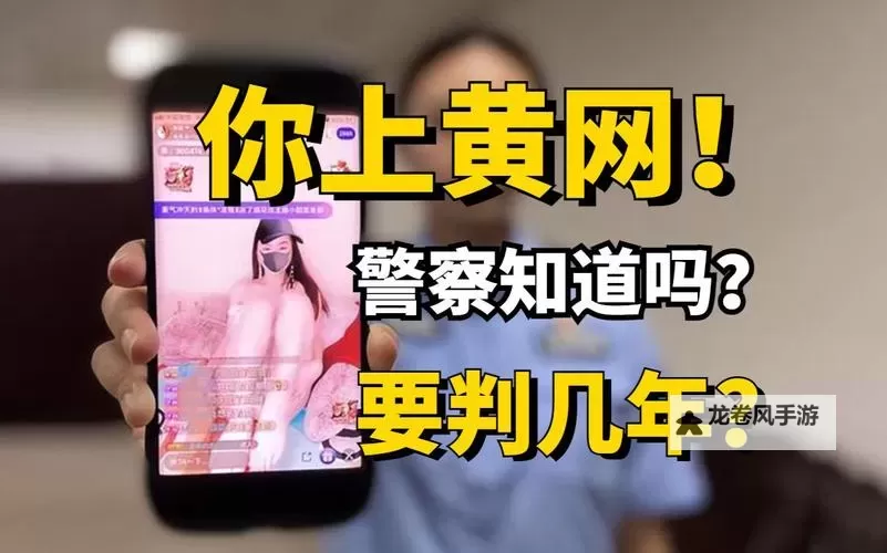 日本怀孕黄色网络站:探索日本网络文化中的特殊现象图1