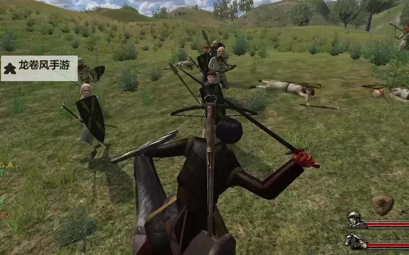 骑马与砍杀战团带走牛：荒野中的生存之战图1