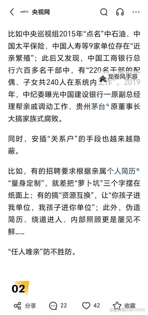 岳婿双行长的问题出在哪：深度解析与应对策略图1