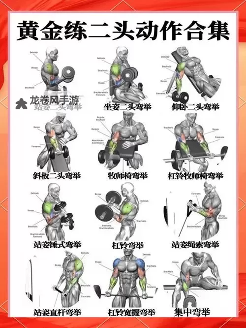 锻造8相当于增幅多少？全面解析其提升效果图1