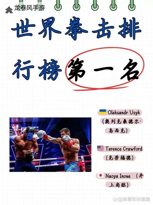 2021年格斗家哪个职业最厉害：实力排行榜大揭秘图2