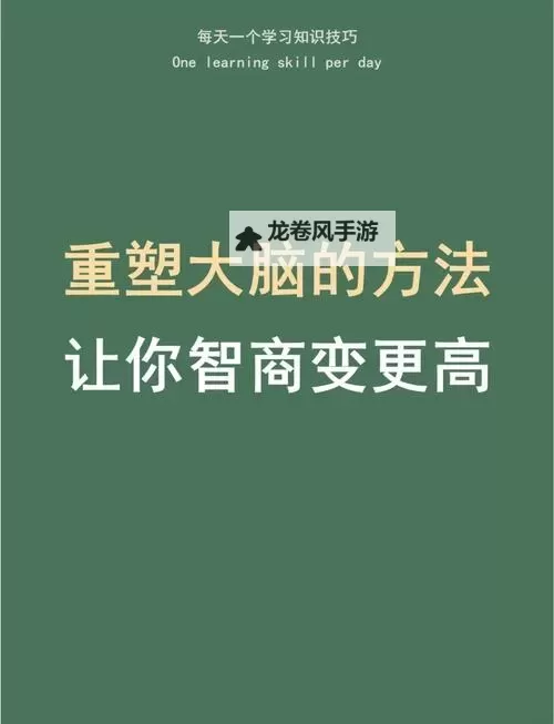 智商大挑战:激发潜能的智慧较量图1