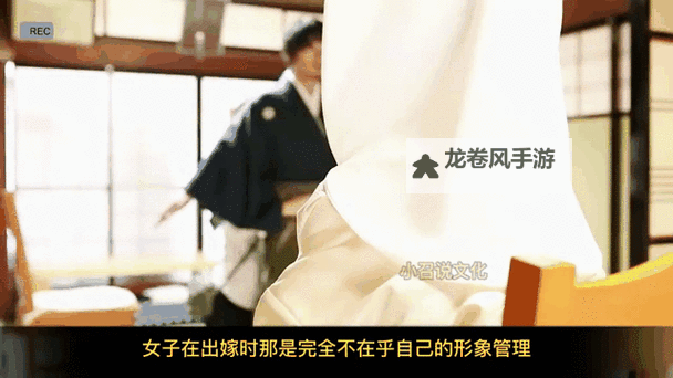 探索精彩内容：www日本视频全新体验图1