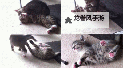 左爱动态图：展现温暖与关怀的感人瞬间图1