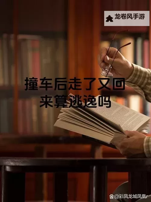 长途汽车的最后一排他要了:旅途中的意外与心事图2