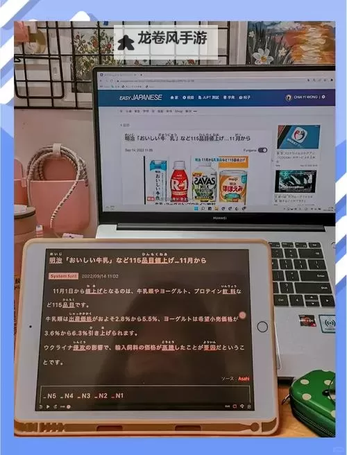 日本19岁上大学上网课可以吗:实用指南与注意事项图2