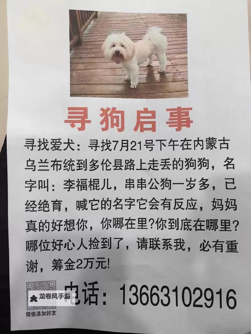 问道狗顺坐牢：勇敢追寻真相的故事图1