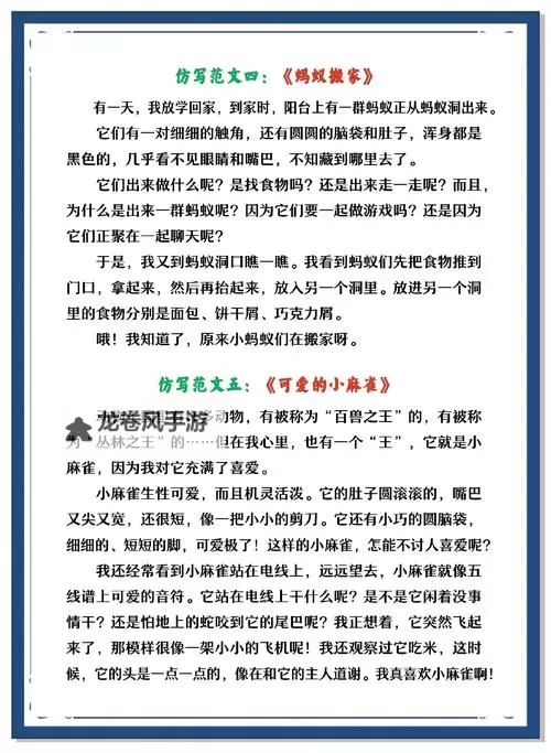 昨晚我和我家狗做了一次难忘的冒险图1