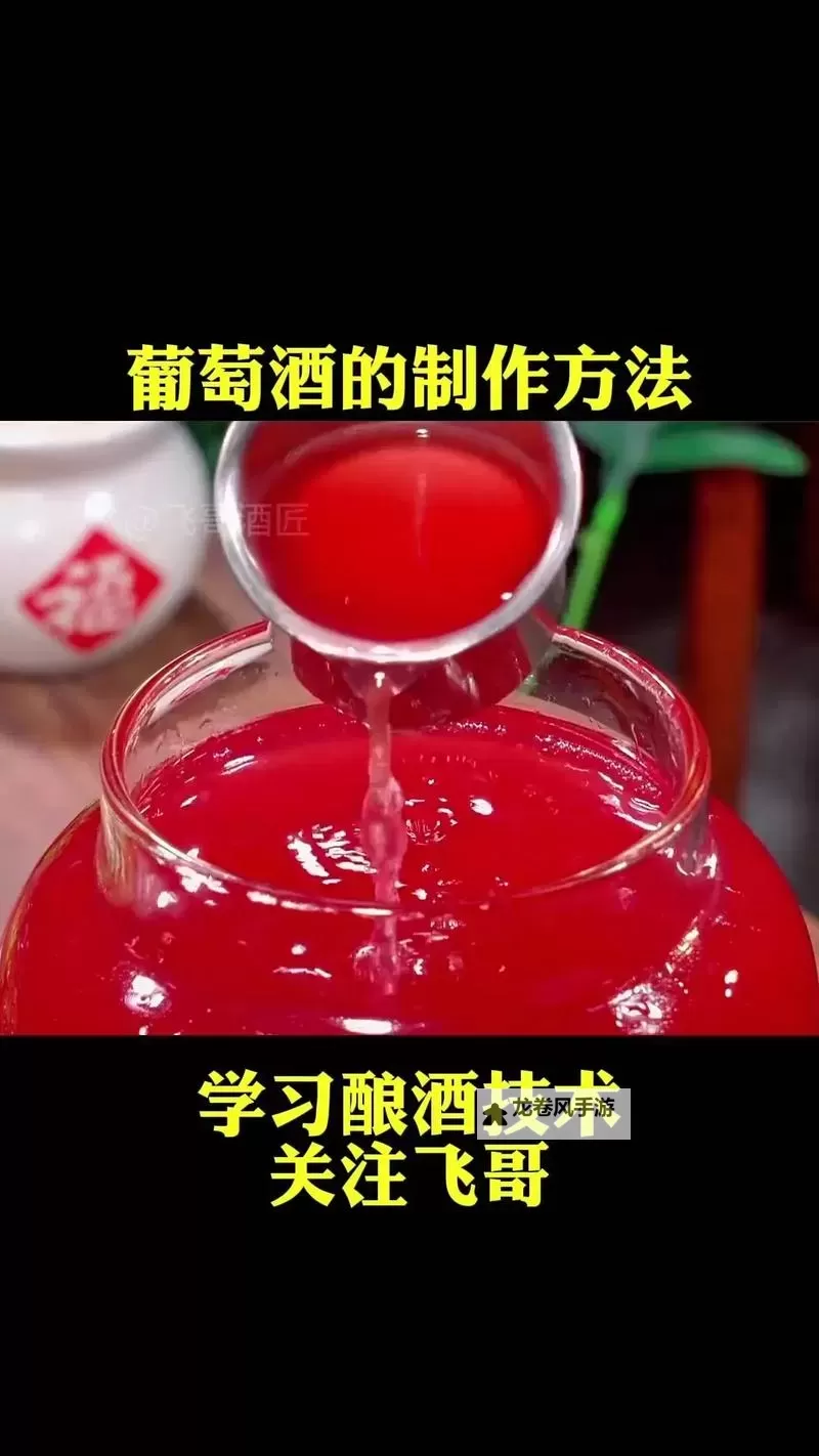 如何在家制作美味的自制葡萄酒视频教程图1