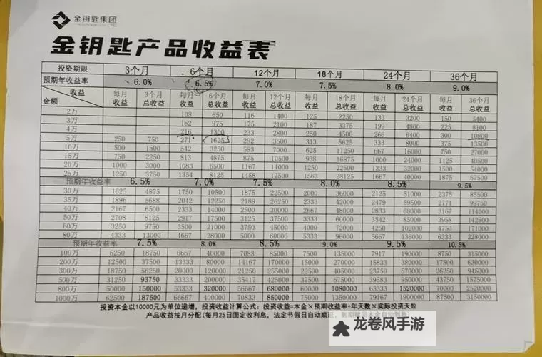 全面解析坦闪八金收益表：投资者必读指南图2