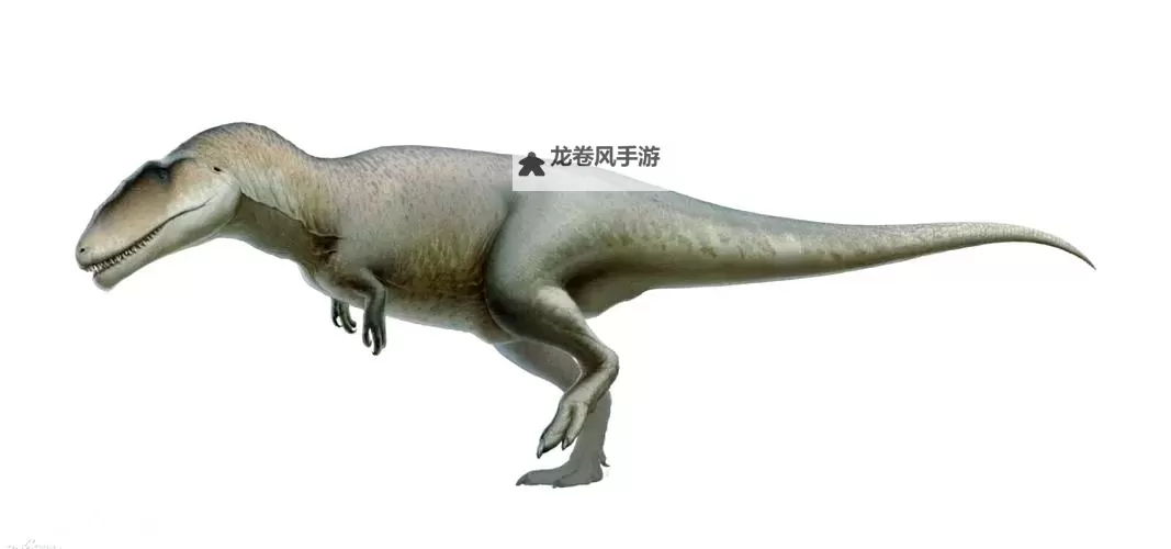 鲨齿龙棘龙：远古海洋的巨兽传说图1