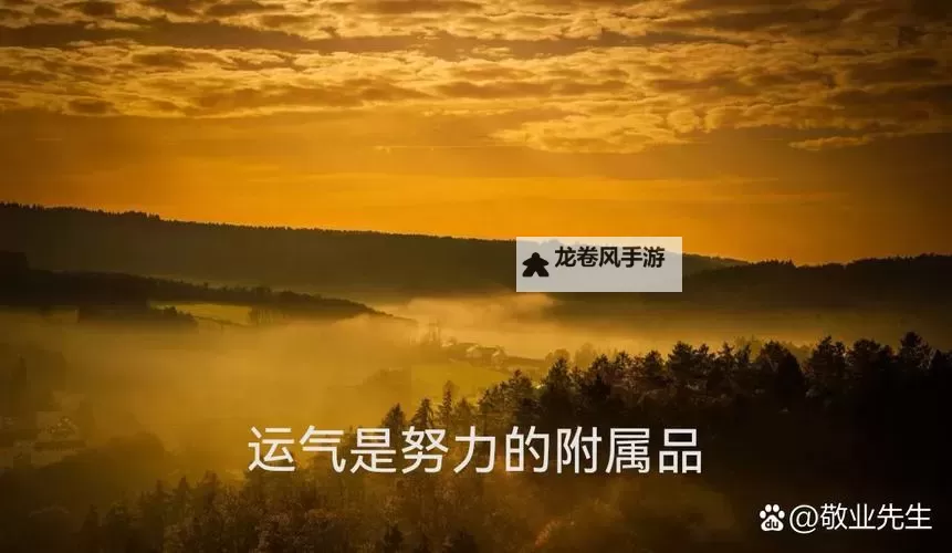 运气与实力关系：成功的双重驱动力图1