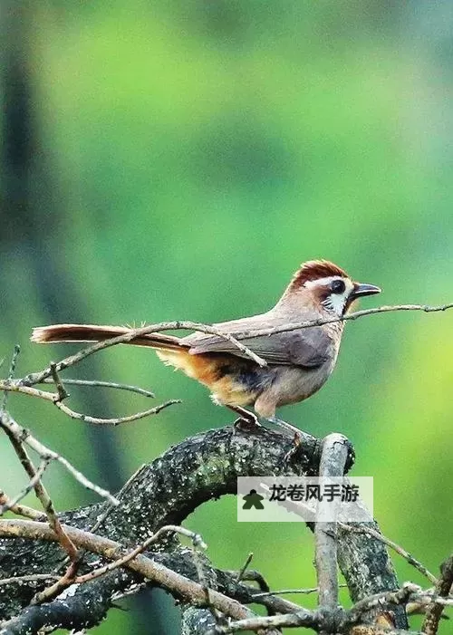 “探索情色世界:天天操、天天色、综合色色的多面体验与文化分析”图1