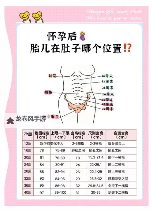 涨精装满肚子：怀孕期间的扩张感与生理变化分析图1