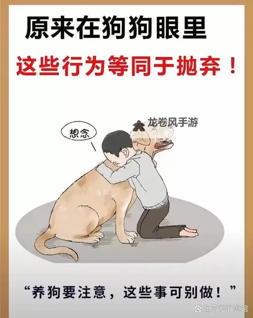 问道狗顺坐牢：勇敢追寻真相的故事图2